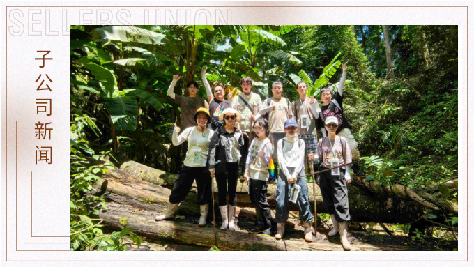 探雨林秘境，與森林同呼吸——記景馳年中西雙版納團(tuán)建旅游